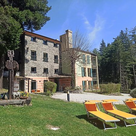 Il Bosco Di Campo Marzano Studios Borzonasca Kültér fotó