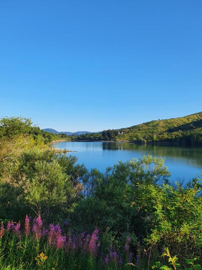Il Bosco Di Campo Marzano Studios Borzonasca Kültér fotó