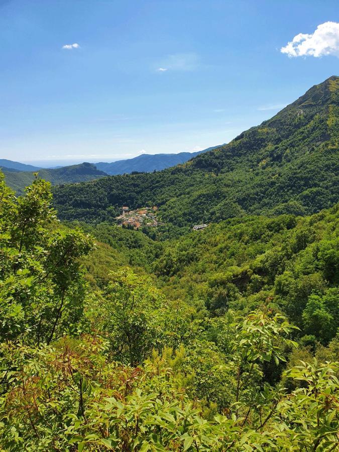 Il Bosco Di Campo Marzano Studios Borzonasca Kültér fotó