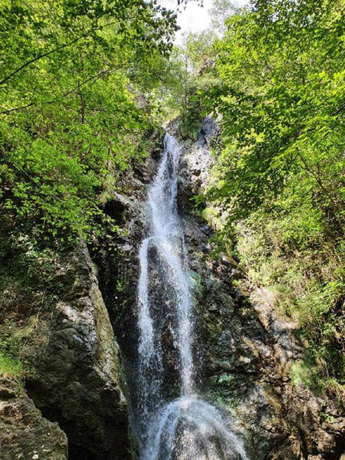 Il Bosco Di Campo Marzano Studios Borzonasca Kültér fotó