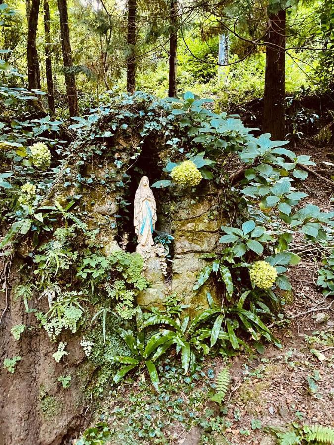 Il Bosco Di Campo Marzano Studios Borzonasca Kültér fotó