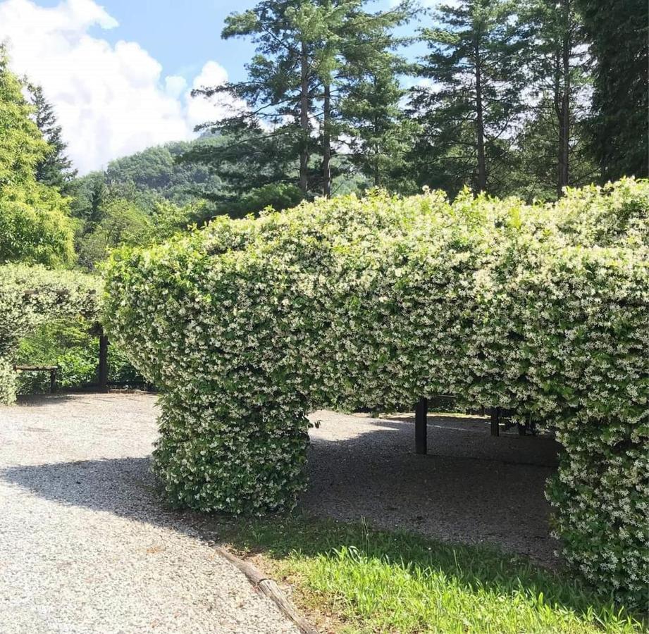 Il Bosco Di Campo Marzano Studios Borzonasca Kültér fotó