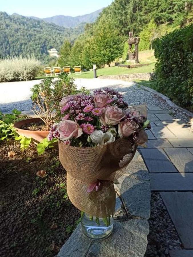 Il Bosco Di Campo Marzano Studios Borzonasca Kültér fotó