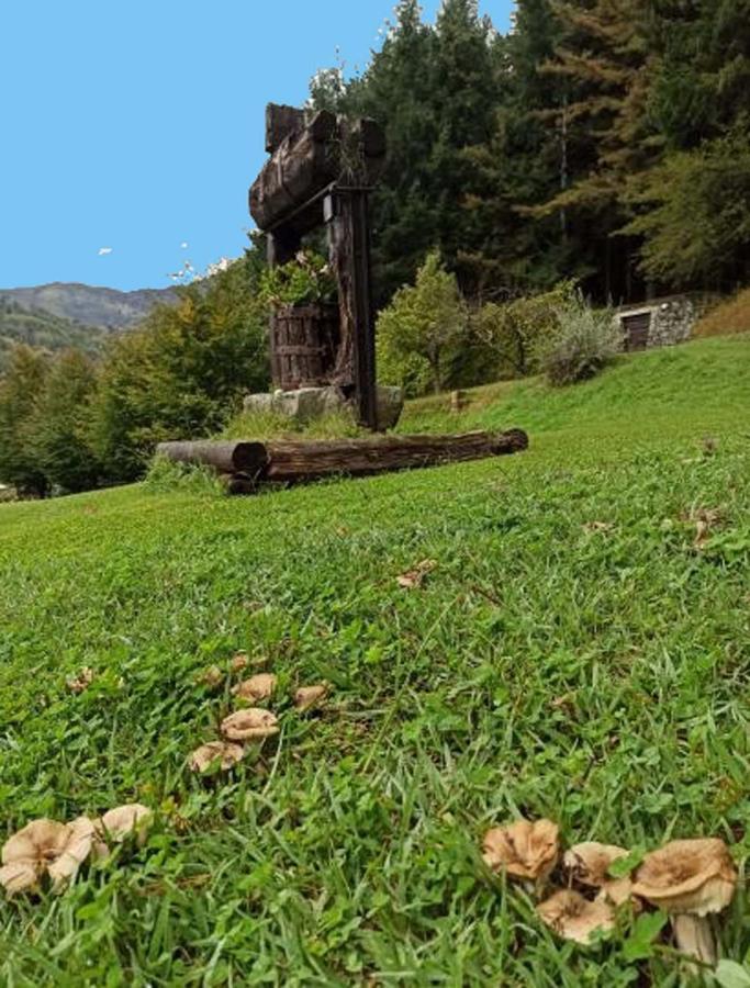 Il Bosco Di Campo Marzano Studios Borzonasca Kültér fotó