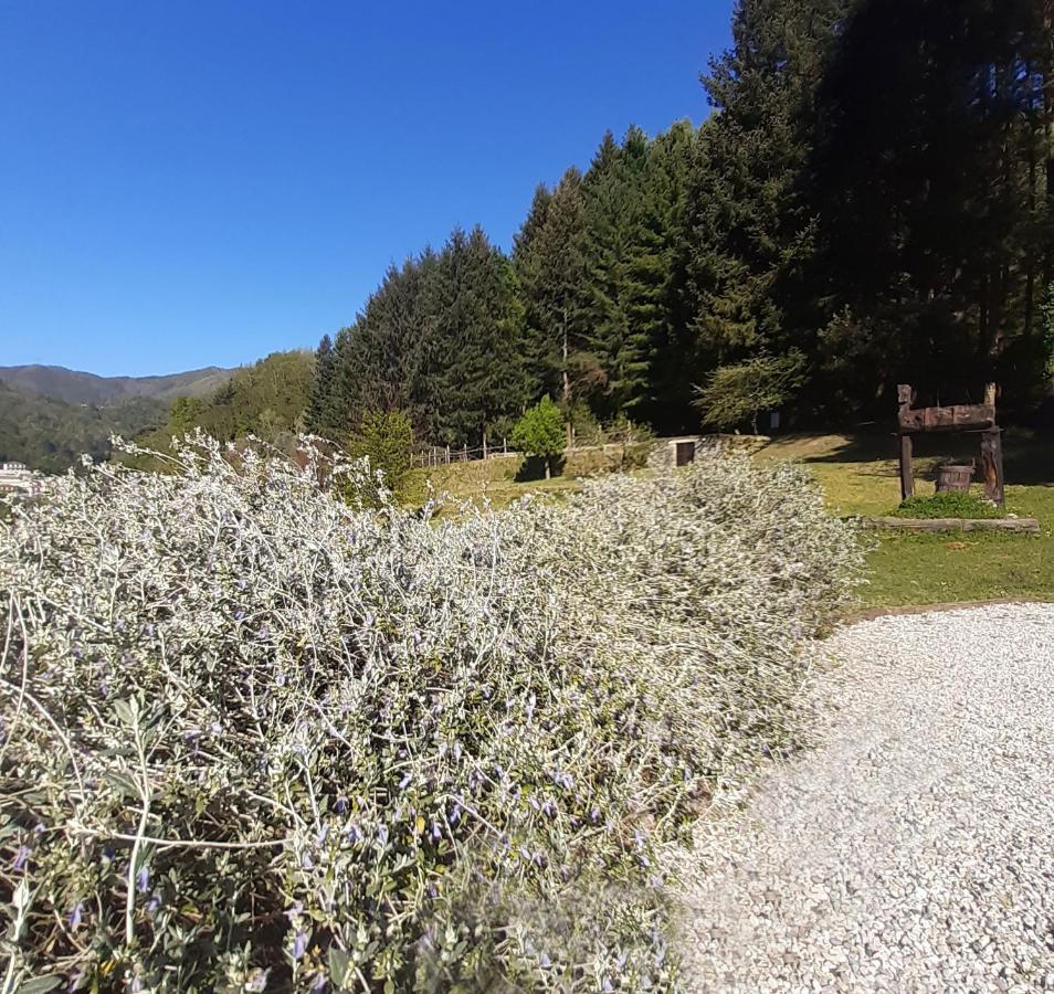 Il Bosco Di Campo Marzano Studios Borzonasca Kültér fotó