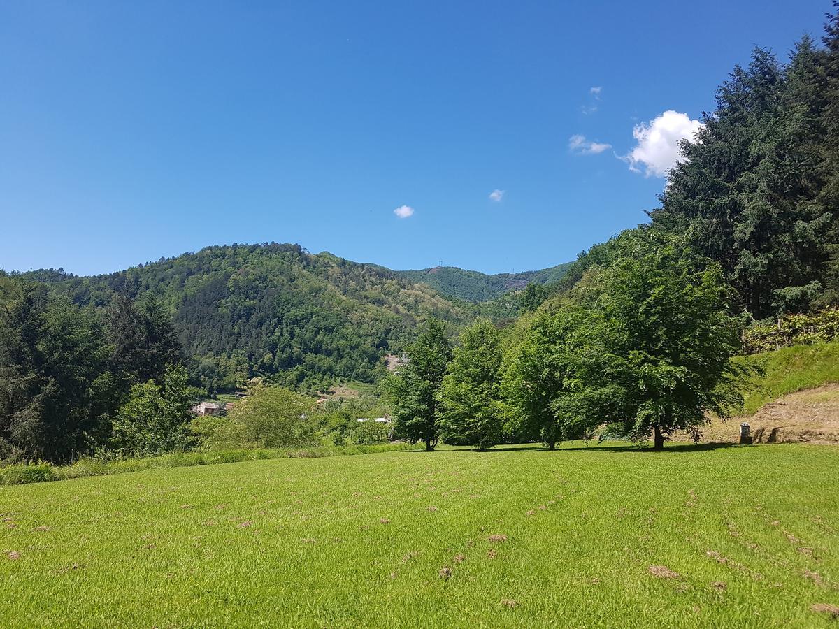 Il Bosco Di Campo Marzano Studios Borzonasca Kültér fotó