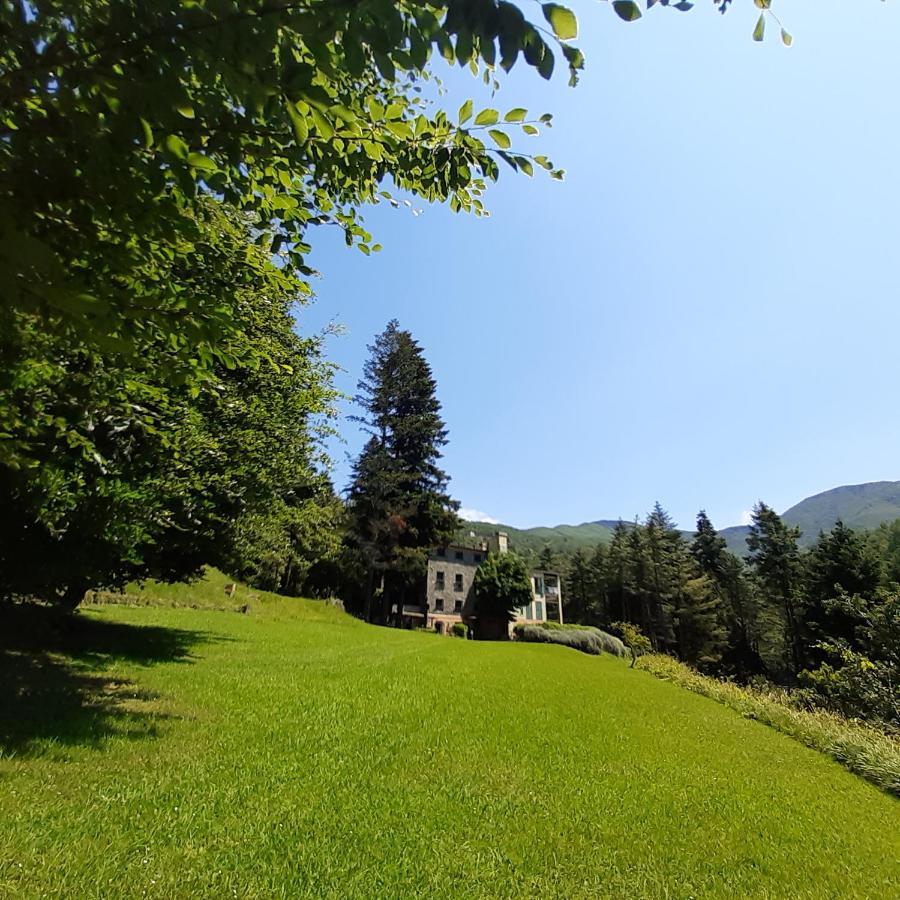 Il Bosco Di Campo Marzano Studios Borzonasca Kültér fotó